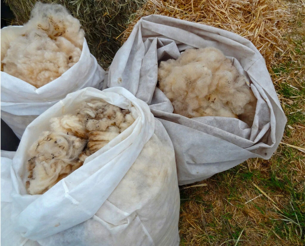 Finarte wool